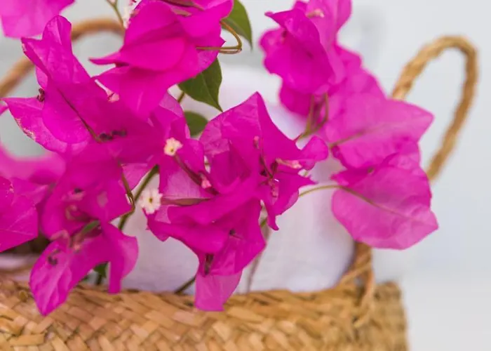 Casa Grande Santorini Casa vacanze Megalochori (Santorini)