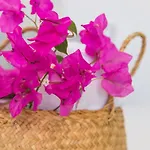 Casa Grande Santorini Σπίτι διακοπών Μεγαλοχώρι